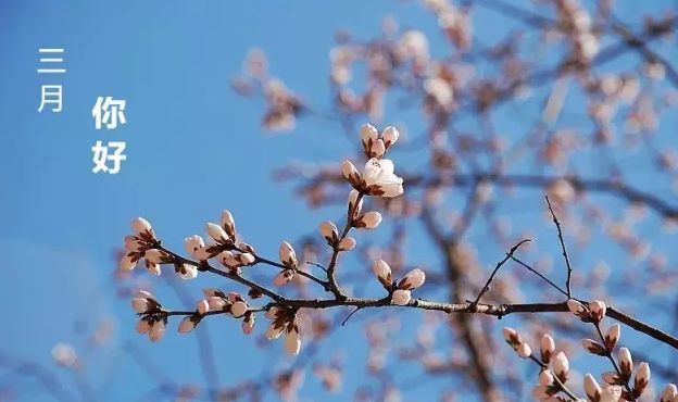 三月 去中国春天最美的10个地方吧 旅游频道 手机搜狐