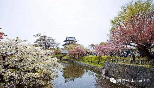 五一日本游赏樱花还来得及北海道这些赏樱景点就在等你 旅游频道 手机搜狐