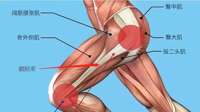 大腿外侧肌肉紧张 肌肉酸痛 教你简单放松 体育频道 手机搜狐