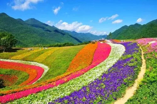 夏季去北海道不能看雪 那还有什么好看的 旅游频道 手机搜狐