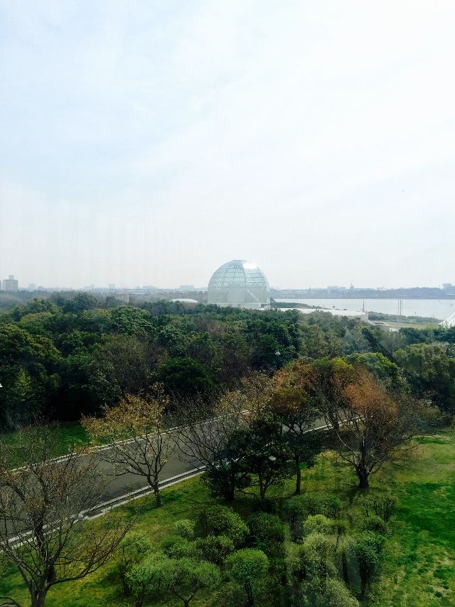 人与自然和谐相处的范本 东京葛西临海公园 旅游频道 手机搜狐