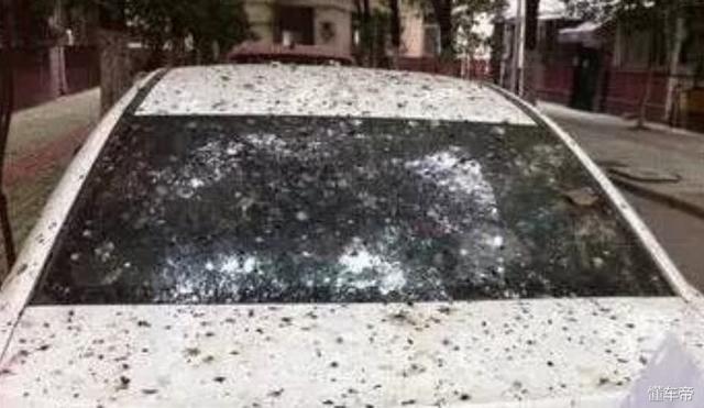 夏季跑高速车头全是小飞虫 又脏又乱又恶心怎么办 汽车频道 手机搜狐 夏季跑高速车头全是小飞虫 又脏又乱又恶心怎么办 汽车频道 手机搜狐