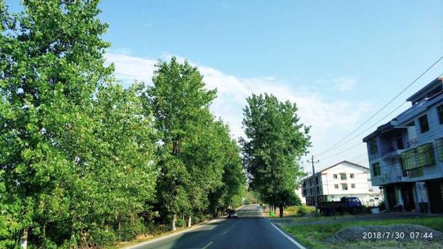 江西省抚州市临川区云山镇大金山禅寺-